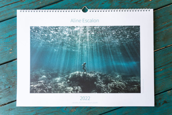 calendrier 2022 artistique aquatique