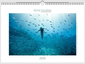 Calendrier artistique 2026