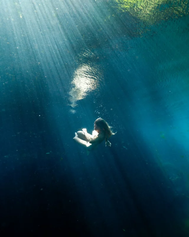 Douceur je chéris ton nom
Douceur, pourquoi se méfier de toi ?
Douceur, bien sûr que ta puissance est sans limites.

Douceur, continue, s'il te plait, s'il te plait, d'instiller ta paix dans le coeur des gens.

Douceur, Chuchote tes portes et tes lumières. Chuchote ta puissance.
Raconte ton chemin aux coeurs meurtris
et apprend-moi tes chansons, je continuerai de les raconter en images.

Douceur, raconte encore le monde des possibles.
Chuchote encore et encore, dans le vent qui fait danser les feuilles, dans les gouttes de pluie qui trempent nos corps, dans un soleil éclatant, un nuage qui se boursouffle un éclat de lune.
Douceur, s'il te plait, Chuchote encore et encore ta si belle puissance. 
Le silence est doux, accompagné de ta présence.