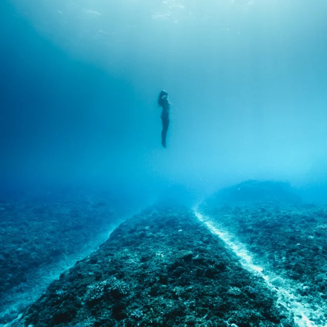Il y a quelques années, déjà, j'ai entendu cette belle notion , c'était en anglais, "There's 10 000 ways to meet a need".

Il y a ces chemins qui nous semblent les, "le" seul.
Il y a ces espaces qui nous semblent être les seuls.
La seule façon de se sentir bien
La seule façon de ressentir telle ou telle chose.

Tant d'aspects de nos vies qui seraient LA solution.

J'ose croire encore et encore, que les chemins de traverse sont nombreux. qu'il sont l'expression de nos singularités et de notre sincérité.

Ouvrir les possibles, prendre de la hauteur, s'extraire, un petit temps, de ces routes qui sont pourtant Claires, qui occupent tout l'espace. S'extraire de ce qui nous rassure, ou alors, le vivre parce qu'on n'a plus vraiment le choix.

Mais que se passe-t-il si d'autres dimensions sont possibles, si de toute façon, la route ne mène pas au chemin qui nous correspond vraiment ?

Que se passe-t-il à côté de la route ? Impossible de le savoir.
Il faut s'élever. choisir d'aller voir les choses de plus haut. L'horizon ne se dévoilera qu'une fois l'observation possible.

Edit : magnifique et précieuse matinée de création dans un océan et ses vagues puissantes frappant les falaises, avec la cocréation, l'engagement physique, la joie du partager et la création avec deux de mes sea sisters : @maudalcayde , et Sandra @yogarmonylareunion 

Merci si fort d'incarner encore et encore les chants de mon coeur.
Merci. Chacun de ces moments est unique. Encore plus unique.